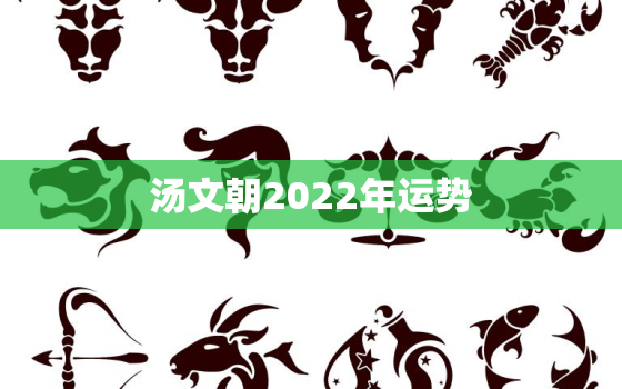 汤文朝2022年运势，2022
年十二生肖每月运程