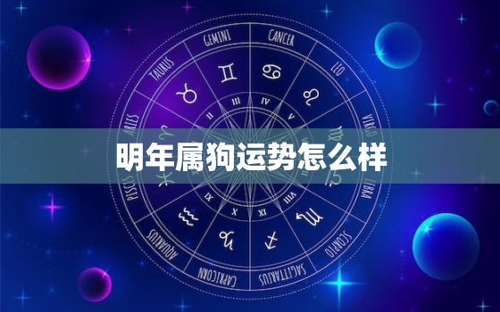 明年属狗运势怎么样，属狗明年的运势怎么样2022