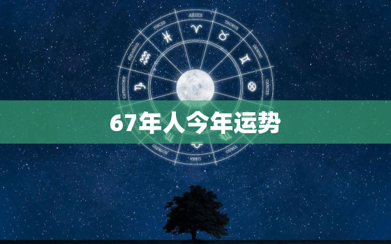 67年人今年运势