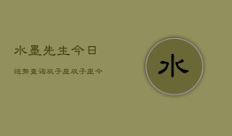 水墨先生今日运势查询双子座，双子座今日运势速览