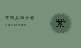 紫薇星双子座今日运势(20240609)