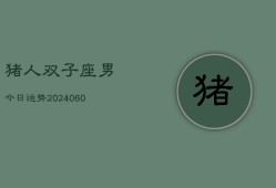 猪人双子座男今日运势(20240609)