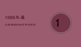 1988年属龙者：婚姻抉择与命运轨迹